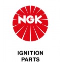 Ngk