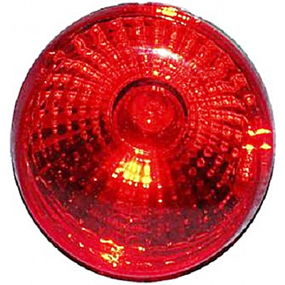 Luz traseira