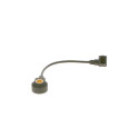 Sensor de detonação