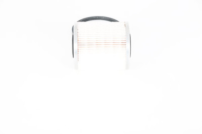 Filtro de combustível BOSCH F 026 402 222