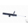 Amortecedor MONROE 401081RM