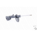 Amortecedor MONROE 401125RM