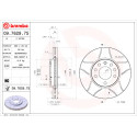 Disco de freio BREMBO MAX LINE 09.7629.75