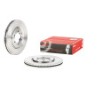Conjunto de discos de freio BREMBO 09.A302.10