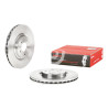 Conjunto de discos de freio BREMBO 09.A448.10