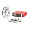 Conjunto de discos de freio BREMBO 09.A621.10
