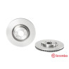 Conjunto de discos de freio BREMBO 09.A815.10
