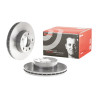 Conjunto de discos de freio BREMBO 09.D017.11