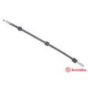 Tubo flexível de travão