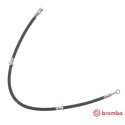 Tubo flexível de travão