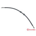 Mangueira de freio BREMBO T 44 033