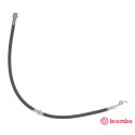 Tubo flexível de travão