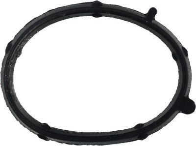 Junta, colector de admissão