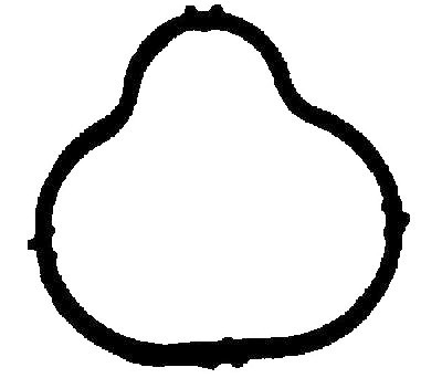 Junta, colector de admissão