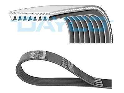 Correia trapezoidal nervurada DAYCO 8 PK 1230