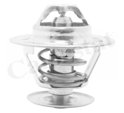 Termostato, líquido refrigerante CALORSTAT by Vernet TH4561.92J