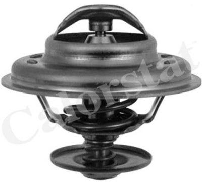 Termostato, líquido refrigerante CALORSTAT by Vernet TH6243.92J