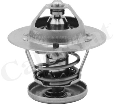 Termostato, líquido refrigerante CALORSTAT by Vernet TH6580.88J