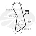 Correia dentada PowerGrip®