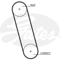Correia dentada PowerGrip®