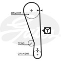 Jogo de correias dentadas PowerGrip®