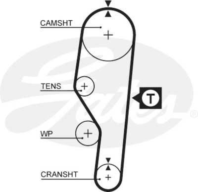Jogo de correias dentadas PowerGrip®