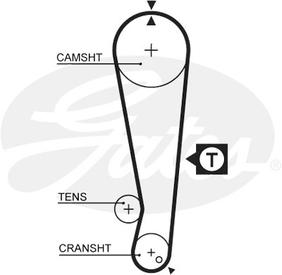 Jogo de correias dentadas PowerGrip®
