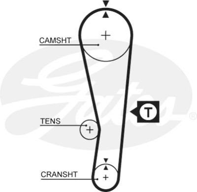 Jogo de correias dentadas PowerGrip®