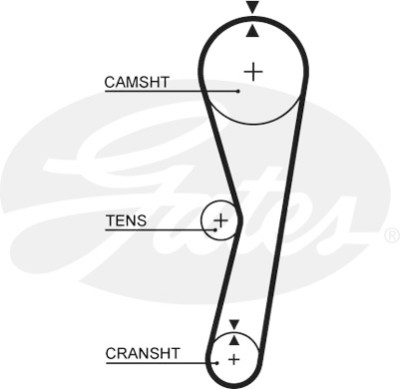 Jogo de correias dentadas PowerGrip®