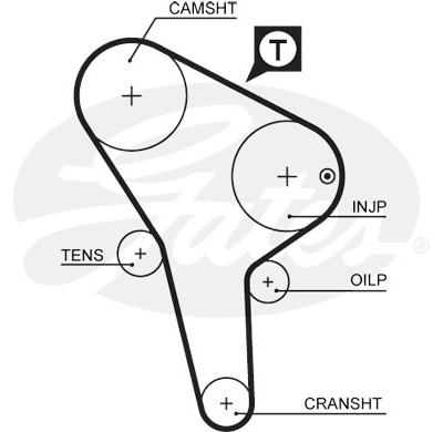 Jogo de correias dentadas PowerGrip®