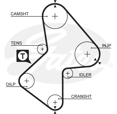 Jogo de correias dentadas PowerGrip®
