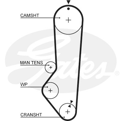 Jogo de correias dentadas PowerGrip®