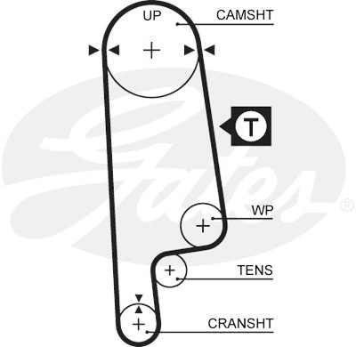 Jogo de correias dentadas PowerGrip®