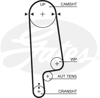 Jogo de correias dentadas PowerGrip®