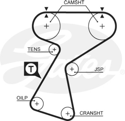 Jogo de correias dentadas PowerGrip®