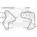 Jogo de correias dentadas PowerGrip®