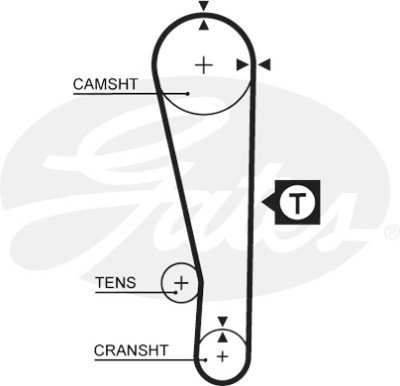 Jogo de correias dentadas PowerGrip®