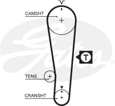 Jogo de correias dentadas PowerGrip®