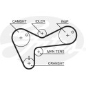 Jogo de correias dentadas PowerGrip®