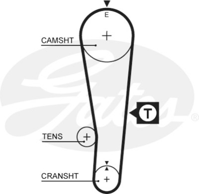 Jogo de correias dentadas PowerGrip®