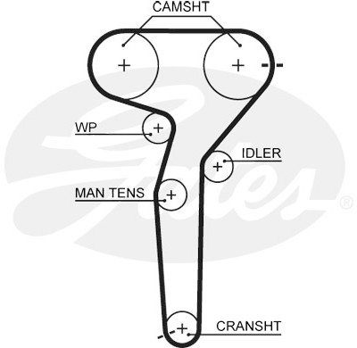 Jogo de correias dentadas PowerGrip®