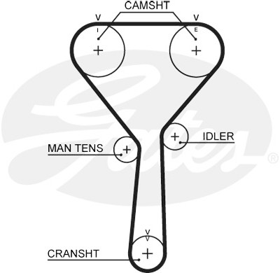 Jogo de correias dentadas PowerGrip®