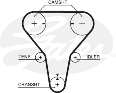 Jogo de correias dentadas PowerGrip®