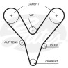 Jogo de correias dentadas PowerGrip®
