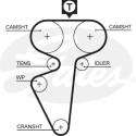 Jogo de correias dentadas PowerGrip®