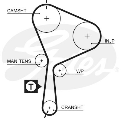 Jogo de correias dentadas PowerGrip®
