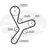 Jogo de correias dentadas PowerGrip®