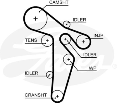 Jogo de correias dentadas PowerGrip®
