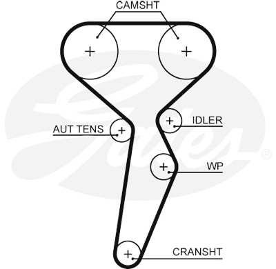 Jogo de correias dentadas PowerGrip®
