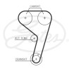 Jogo de correias dentadas